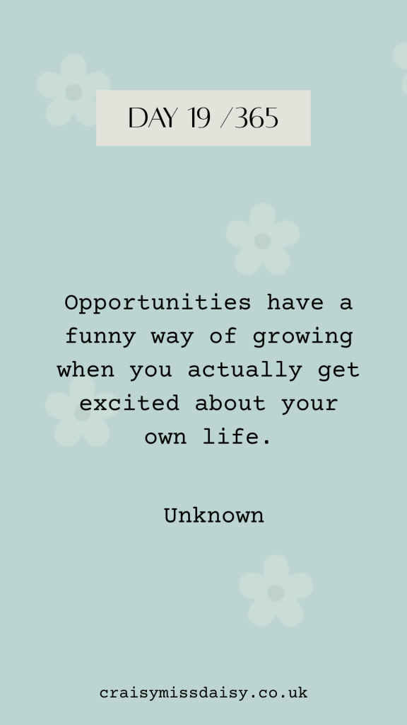 • Blue-green graphic with a typewriter font quote about opportunities and life excitement for Day 19/365.