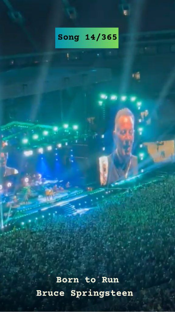 Stadium concert photo with bright green lights and a big screen displaying Bruce Springsteen for Song 14/365, Born to Run.