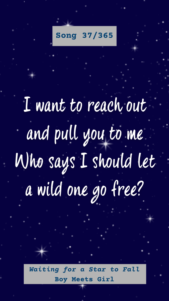 Deep blue star-filled night sky graphic displaying elegant lyrics for Song 37/365, Waiting for a Star to Fall.